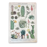 Vintage Metal Sign - Retro Cacti & Succulents Identification Picture