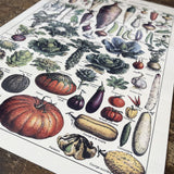 Vintage Metal Sign - Vintage Botanical Kitchen Vegetables Sign