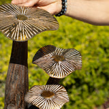 Large Golden Mushroom Art - 32cm - Natural