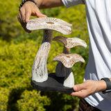 Medium Golden Mushroom Art - 25cm - Whitewash