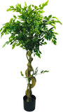 Twisted Trunk Artificial Ficus