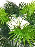 Large Artificial Fan Palm Tree 150cm