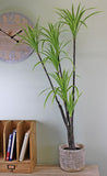 Artificial Dracaena Plant 120cm