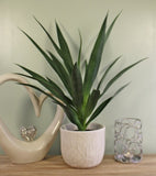 Small Artificial Yucca Plant