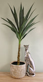 Small Artificial Single Trunk Yucca Tree